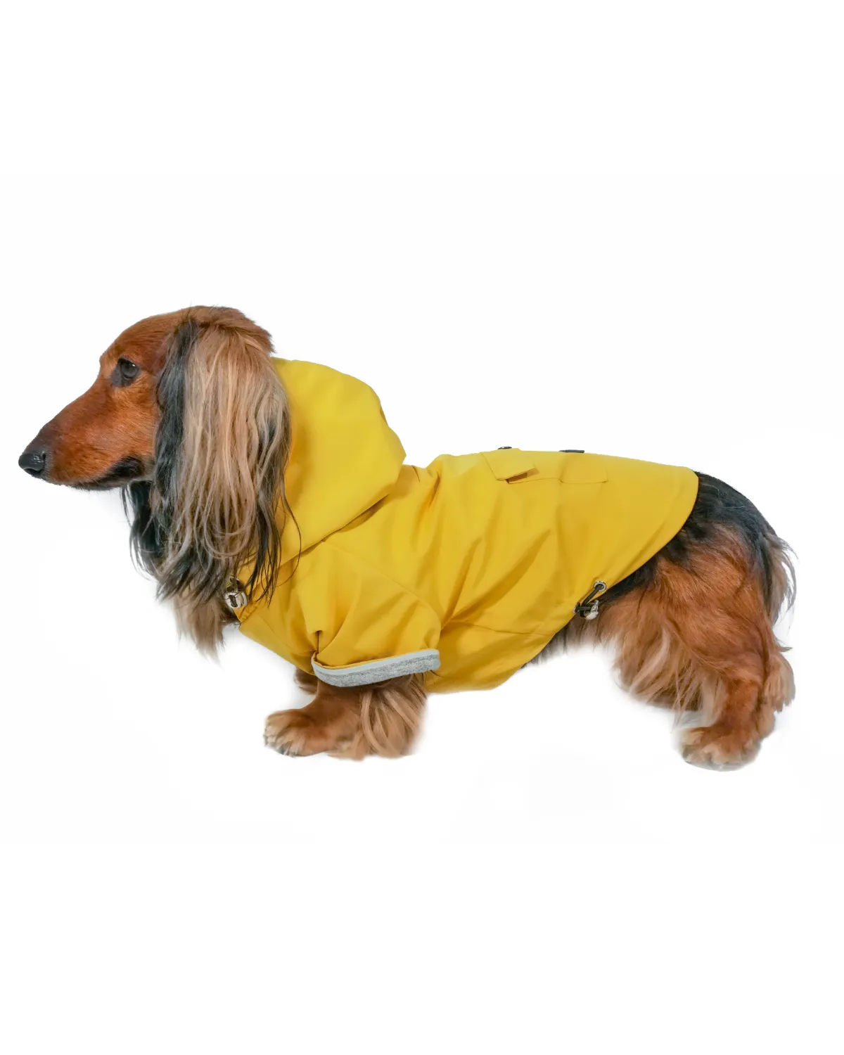 Highland Cold Weather Dog Jacket and Raincoat - Dandelion Yellow