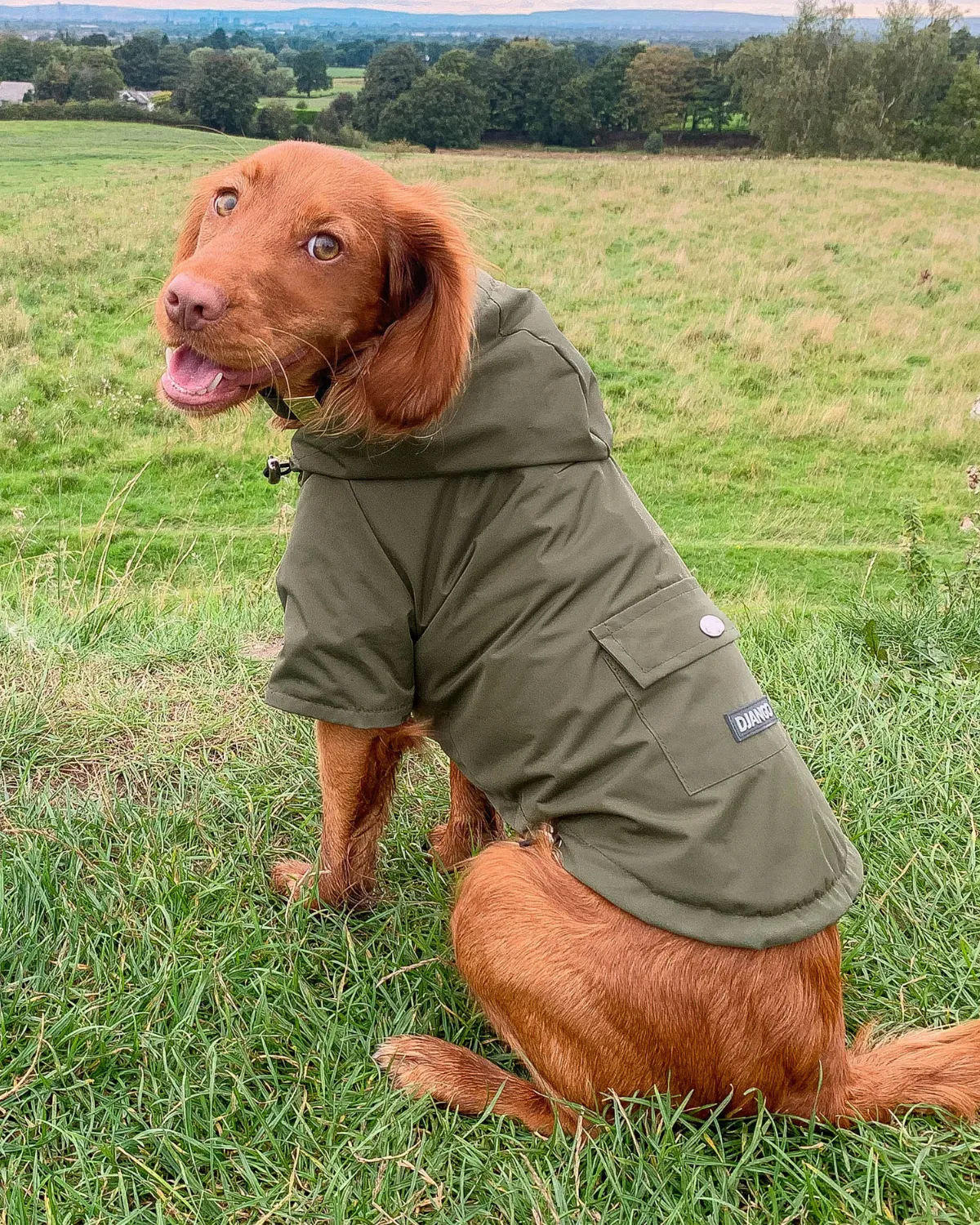 Highland Cold Weather Dog Jacket and Raincoat