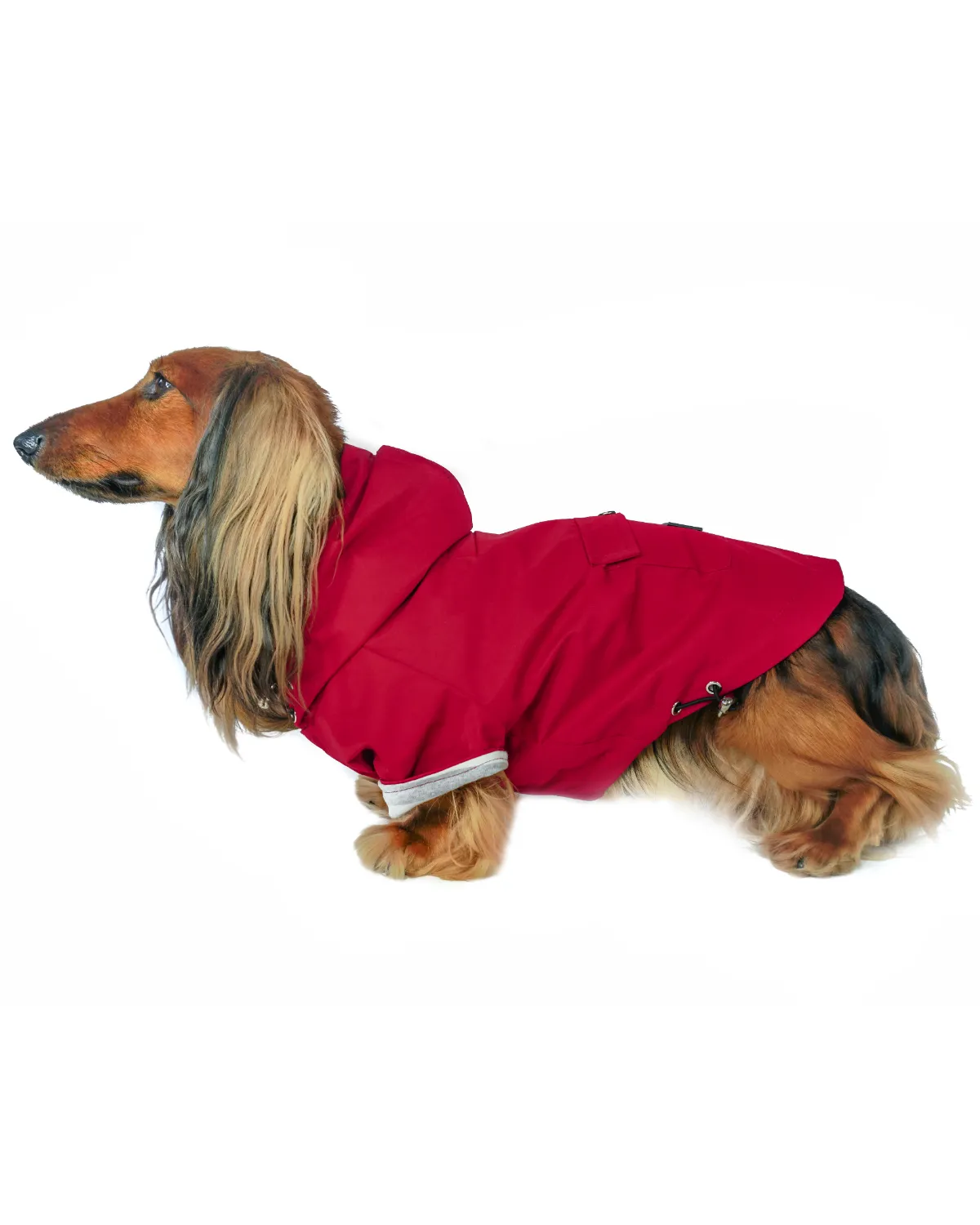 Highland Cold Weather Dog Jacket and Raincoat