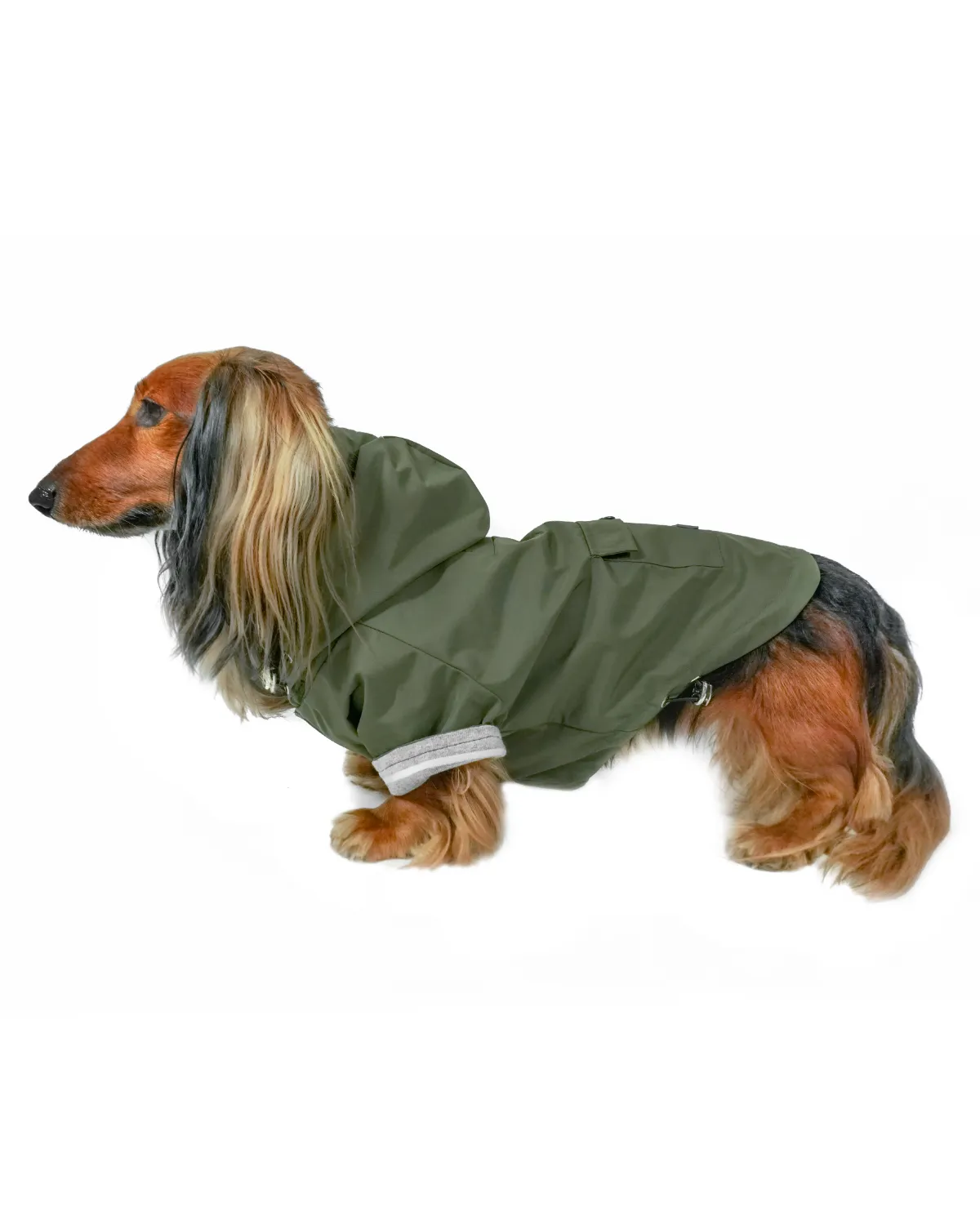 Highland Cold Weather Dog Jacket and Raincoat