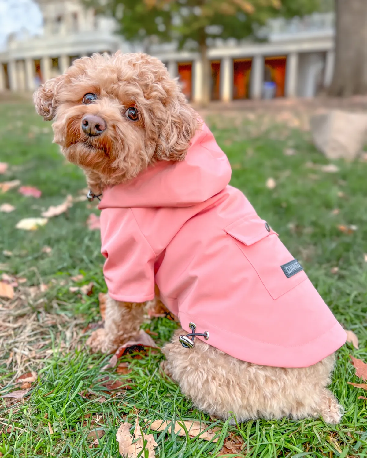 Highland Cold Weather Dog Jacket and Raincoat